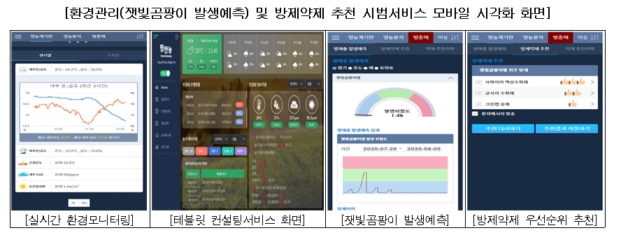 글로벌메타커머스 이미지